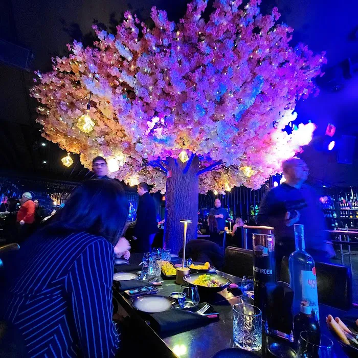 Sky Wise Lounge Picture 8