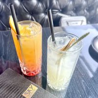Sky Wise Lounge ico