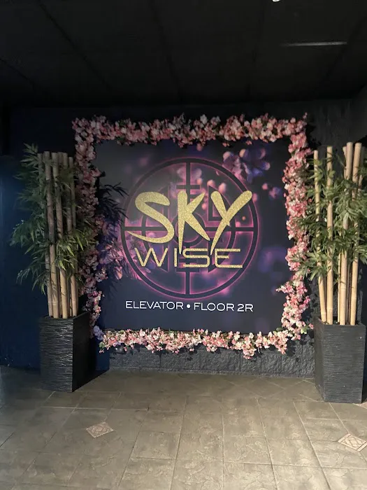 Sky Wise Lounge Picture 2