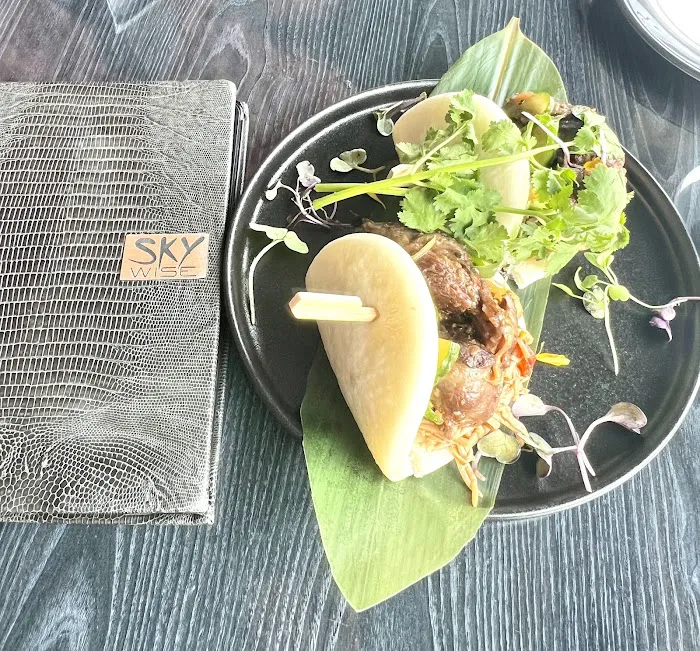 Sky Wise Lounge Picture 4