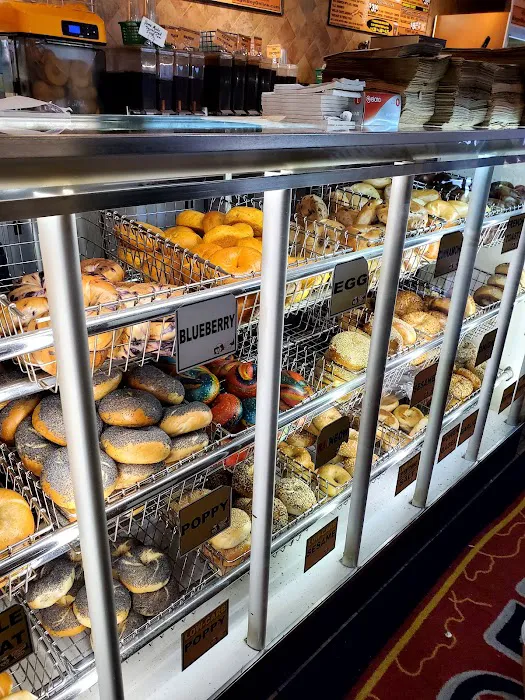 Bagel Boy Picture 3