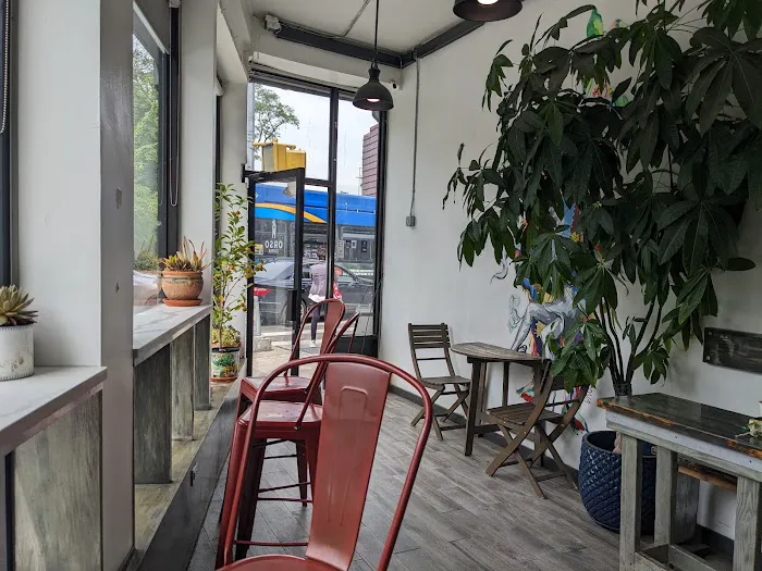 Orso Coffee Picture 6