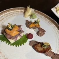 Masuta Japanese Fusion ico
