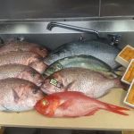 Masakari Japanese Fusion