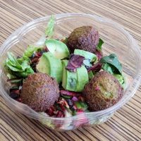 Oshi's Cafe i.n.c ico