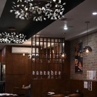 Dun Huang Beef Noodles ico