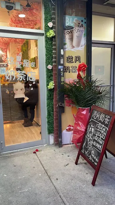 Up Wind Milk Tea Bar Picture 2