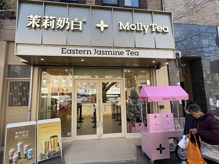Molly Tea (Brooklyn 8th Ave) Picture 3