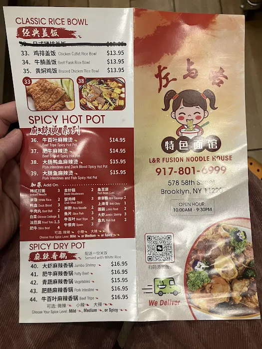 L&R FUSION NOODLE HOUSE Picture 9