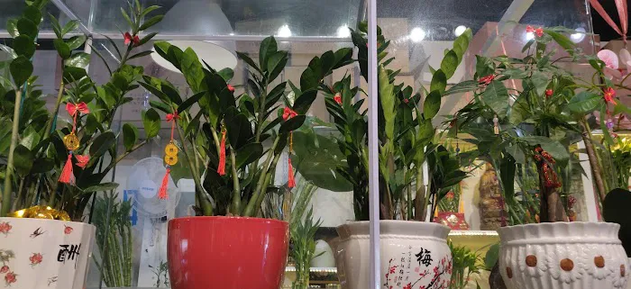 6321 Yuan Bao Gourmet Picture 10