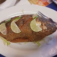 Tequilita's ico