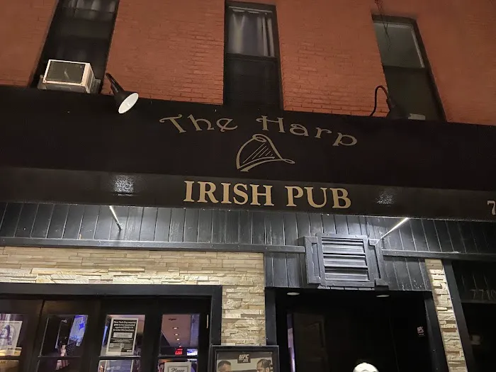 The Harp Bar Picture 1