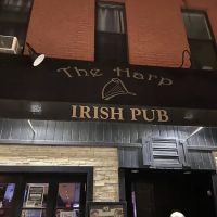 The Harp Bar ico