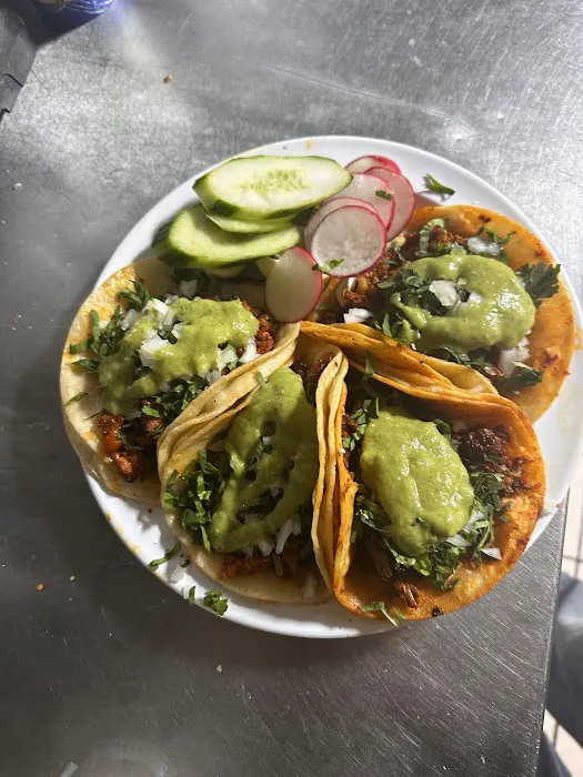 Coro York Mexican Grill Picture 9