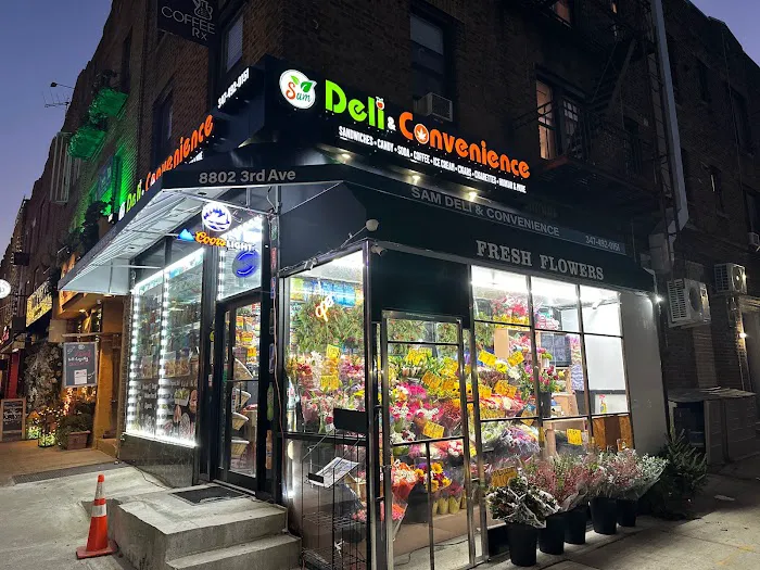 SAM DELI & CONVENIENCE STORE INC Picture 9