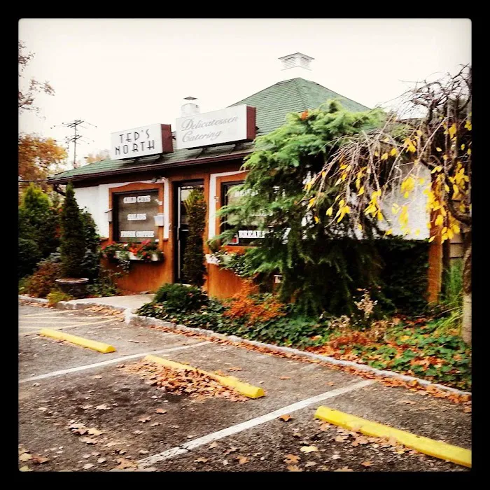 Ted's North Delicatessen Picture 7