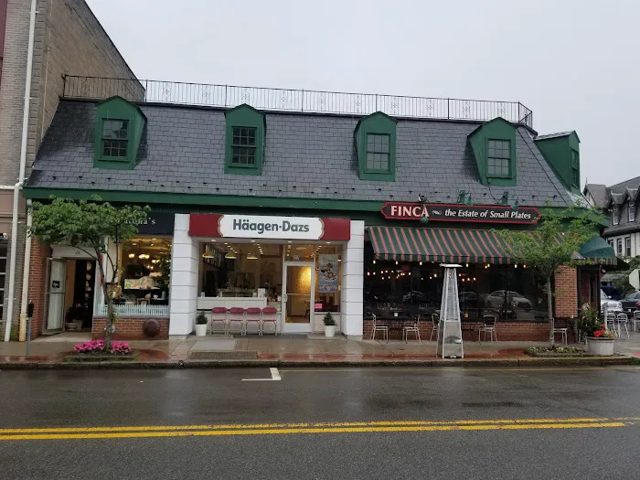 Häagen-Dazs Ice Cream Shops Picture 4