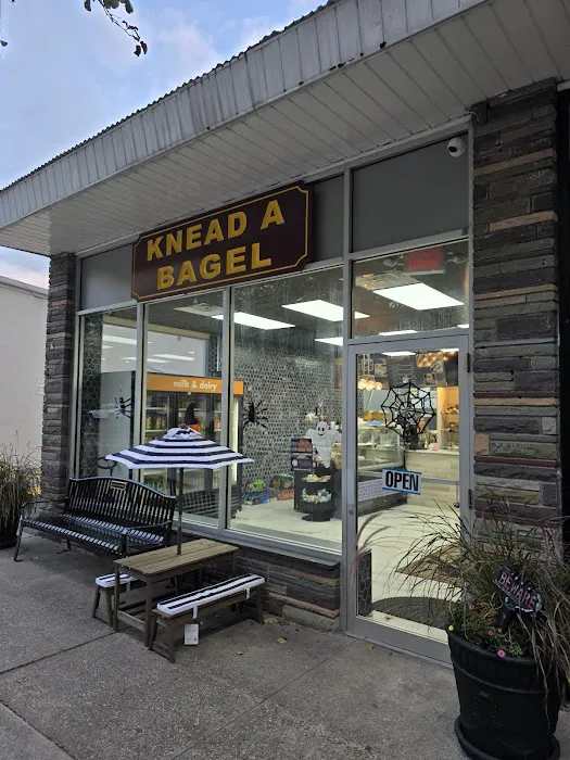 Knead A Bagel Picture 10