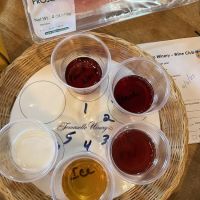 Tomasello Winery Tasting Room ico