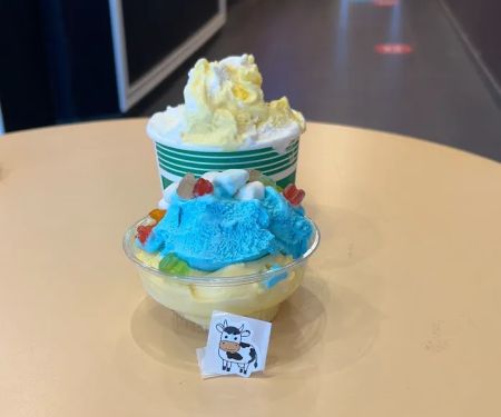 Mr. Moo's Ice Cream Cafe Ridgewood