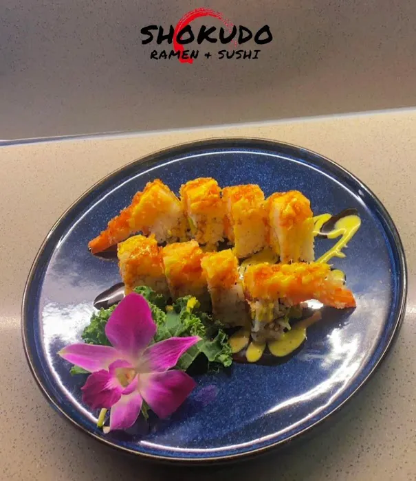 Shokudo Ramen & Sushi Paramus Picture 9