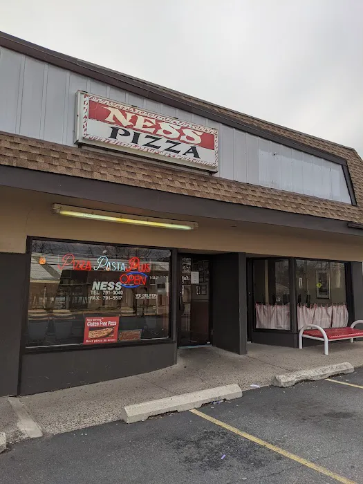 Ness Pizza Picture 7