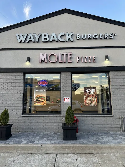 Wayback Burgers Picture 6