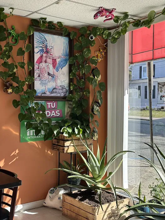 La Morenita Deli and restaurant Picture 8