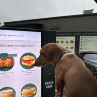 Starbucks ico