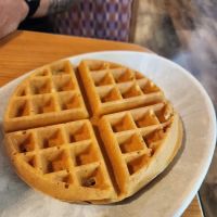 Grassy Sprain Diner ico