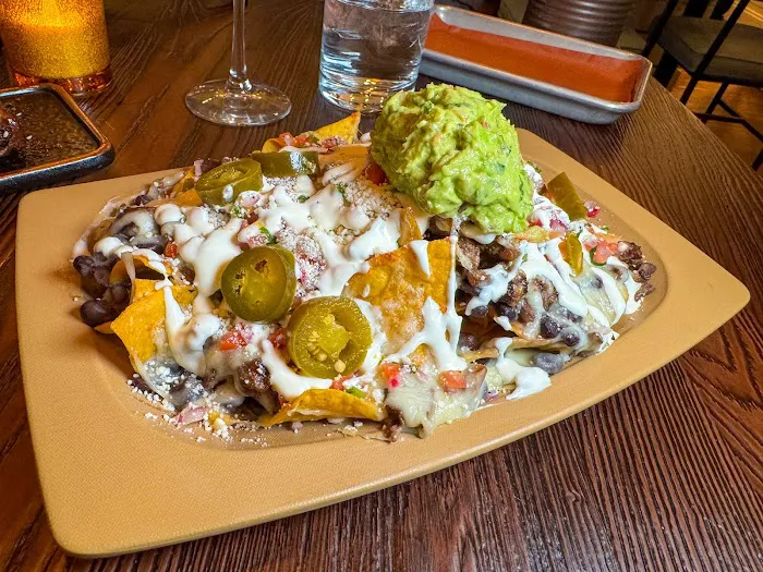 Taco Bahama Picture 10