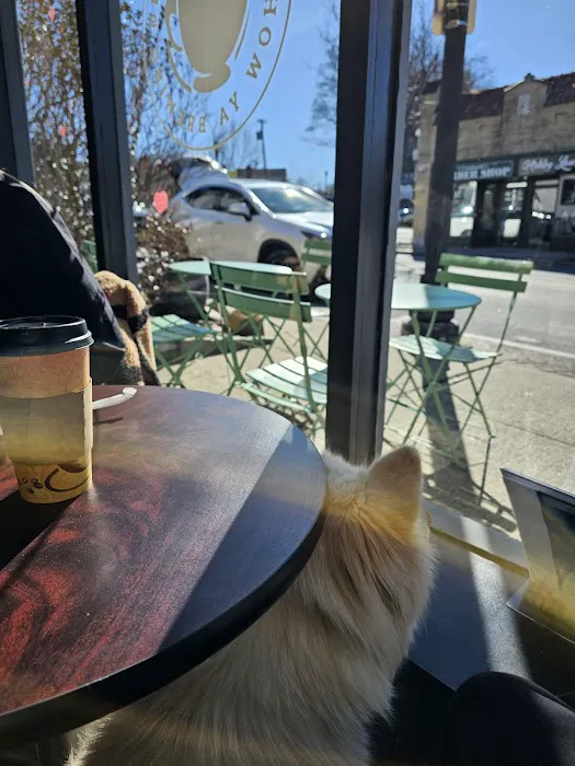What’s Brewing Cafe Picture 10