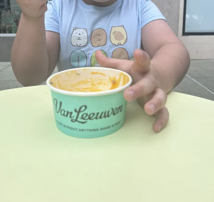 Van Leeuwen Ice Cream Picture 6