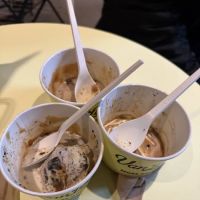 Van Leeuwen Ice Cream ico