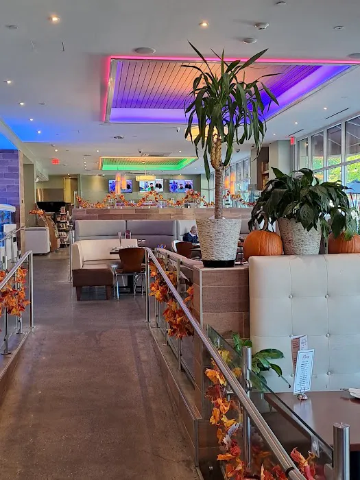 The Mirage Restaurant & Café Picture 1