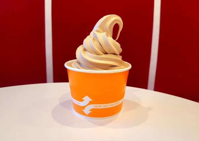 Amara Froyo Picture 8