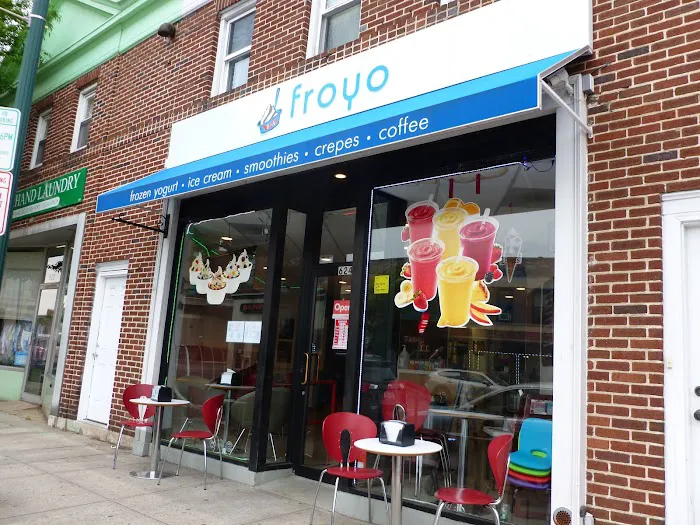 Amara Froyo Picture 9