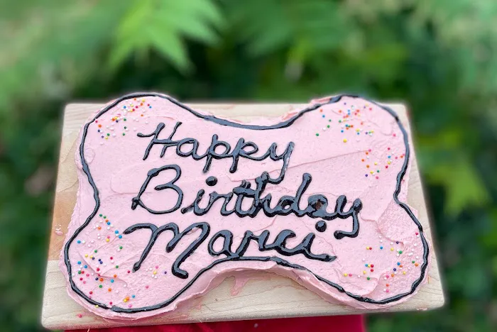 Curly Tail Cakes | Dog Bakery Picture 3