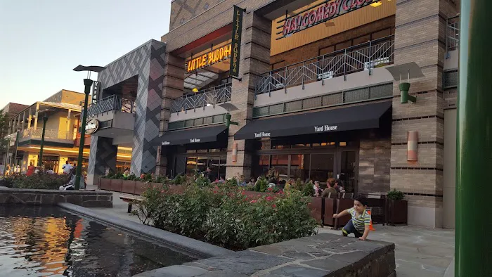 Yard House Picture 4