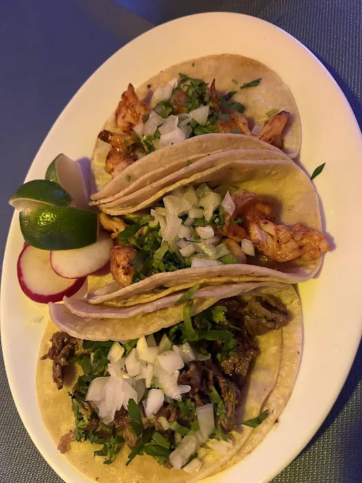Robertos Grill Cafe Picture 6