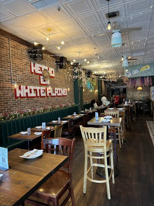 Cantina Taco & Tequila Bar Picture 4