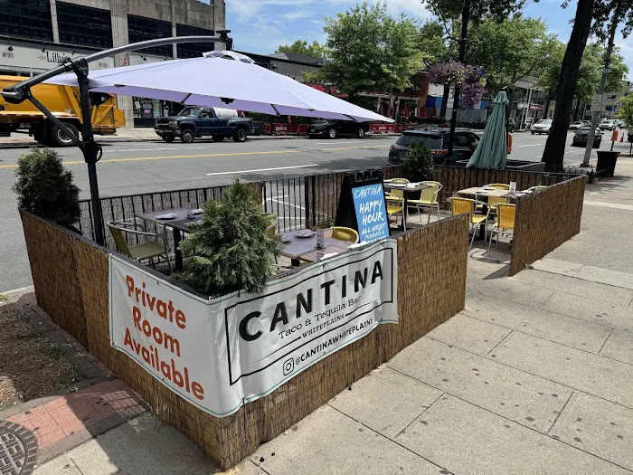 Cantina Taco & Tequila Bar Picture 10