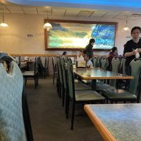 China Star Buffet ico