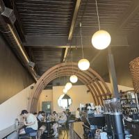Mandy Bean Specialty Coffee ico