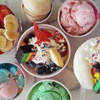 Scoop Shop ico