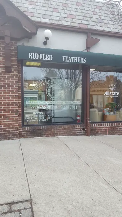 Ruffled Feathers Picture 6