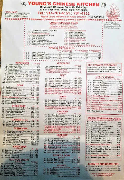 Young's Chinese Kitchen Picture 3
