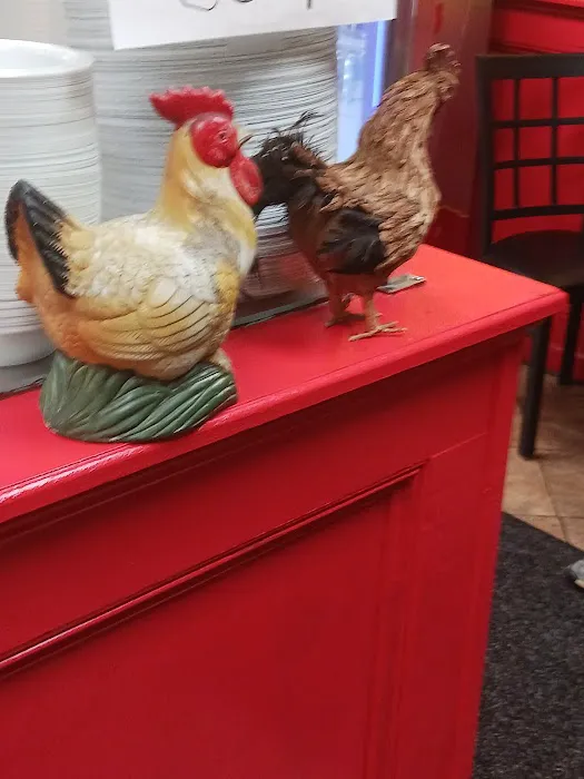 Chickens Gone Wild Picture 5