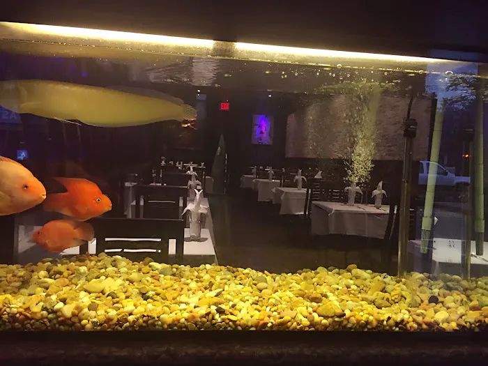 Ruka Asian Fusion Sushi & Lounge Picture 9