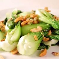 Yummy Oriental ico